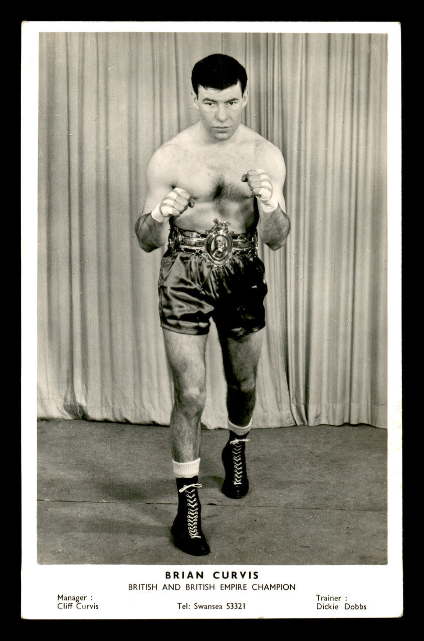 Brian Curvis Autographed 3.5x5.5 Postcard SKU #179749