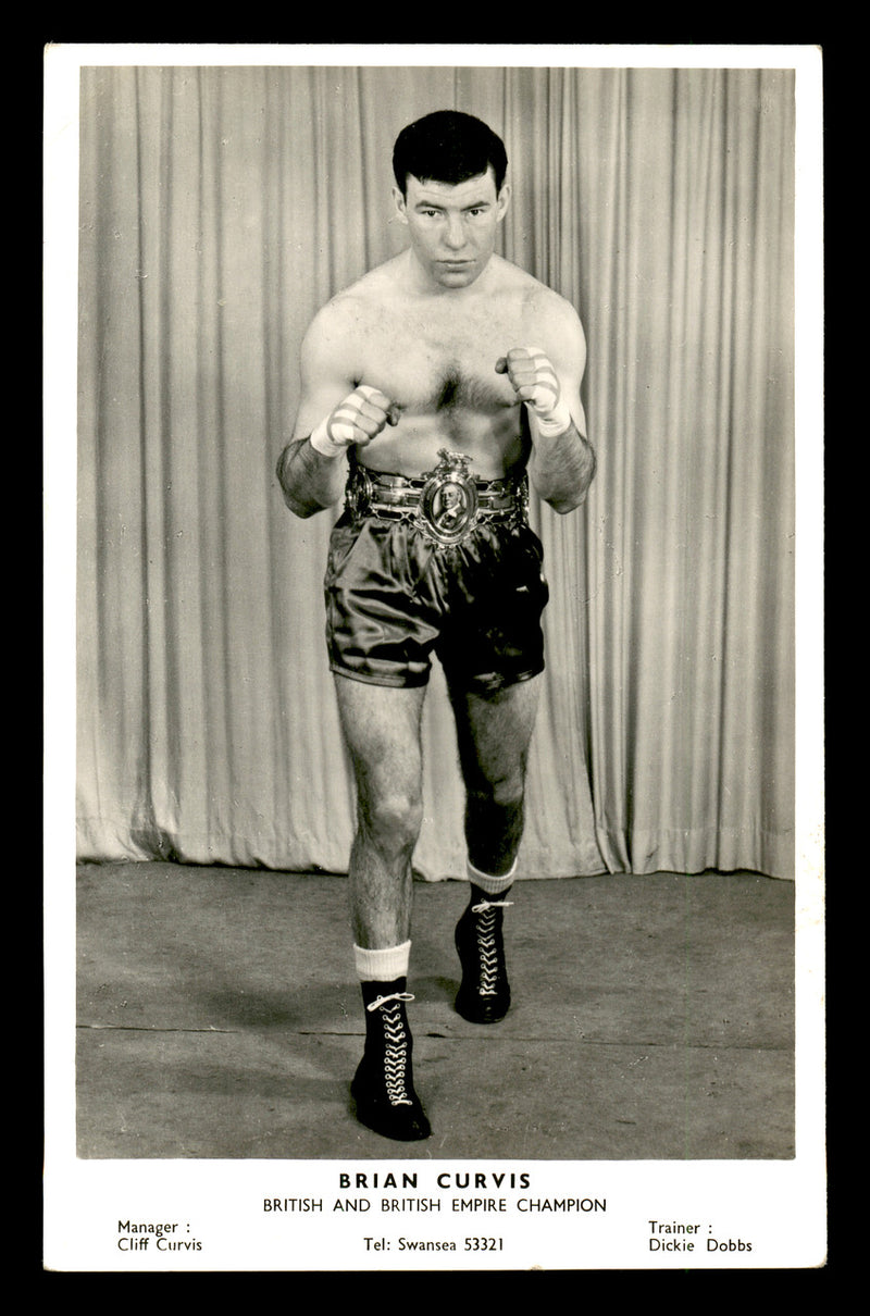 Brian Curvis Autographed 3.5x5.5 Postcard SKU #179749