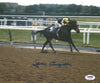 Jean Cruguet Autographed 8x10 Photo Seattle Slew PSA/DNA Stock #19454