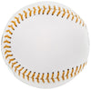 Ichiro Suzuki Autographed Official MLB Gold Glove Logo Baseball Seattle Mariners "10x GG" IS Holo Stock #202061