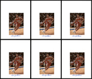 Lenny Wilkens Autographed 8.5x11 Photo 12 Count Lot Portland Blazers SKU #194011