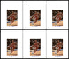 Lenny Wilkens Autographed 8.5x11 Photo 12 Count Lot Portland Blazers SKU #194011