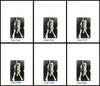 Dolph Schayes Autographed 8.5x11 Photo 12 Count Lot Syracuse Nationals SKU #194014