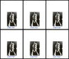 Dolph Schayes Autographed 8.5x11 Photo 12 Count Lot Syracuse Nationals SKU #194014