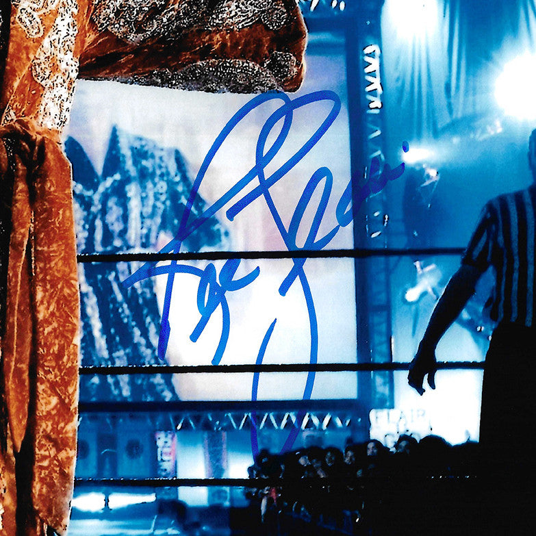 Ric Flair Autographed 11x14 Photo JSA Stock #203597