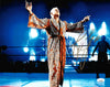 Ric Flair Autographed 11x14 Photo JSA Stock #203601