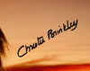 Christie Brinkley Autographed 16x20 Photo Vacation Beckett BAS Witness Stock #234418