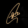 Stephen Curry Autographed 16x20 Photo Golden State Warriors Spotlight JSA Stock #235481