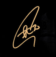 Stephen Curry Autographed Framed 16x20 Photo Golden State Warriors Spotlight JSA Stock #265809