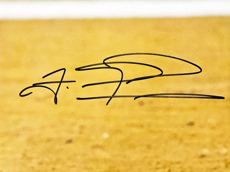 Tua Tagovailoa Autographed 16x20 Photo Miami Dolphins Fanatics Holo Stock #220690