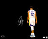 Stephen Curry Autographed 16x20 Photo Golden State Warriors Spotlight JSA Stock #235693