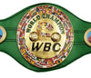 Mike Tyson Autographed Green WBC World Championship Belt Beckett BAS Witness Stock #210830