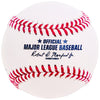 Pedro Martinez Autographed Official Hall of Fame HOF Logo Baseball Boston Red Sox Beckett BAS Witness Stock #211749