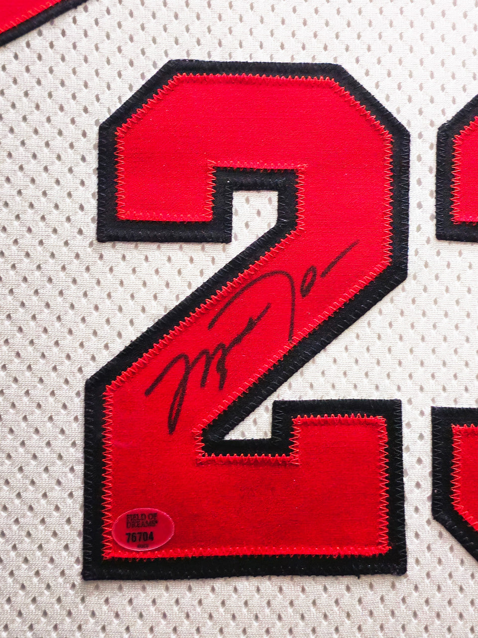 Chicago Bulls Michael Jordan Autographed Framed White Nike Authentic 1998-99 Retirement Season Jersey Beckett BAS & UDA Holo #BAF78946
