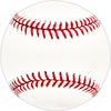 Rich Rusteck Autographed Official MLB Baseball New York Mets SKU #225930