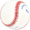 Mike Benjamin Autographed Official AL Baseball Boston Red Sox, San Francisco Giants SKU #225943