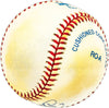 Bruce Tanner Autographed Official AL Baseball Chicago White Sox SKU #229668