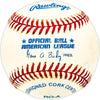 Steve Sparks Autographed Official AL Baseball Detroit Tigers, Los Angeles Angels SKU #229929