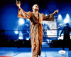 Ric Flair Autographed 8x10 Photo WWE JSA Stock #228792