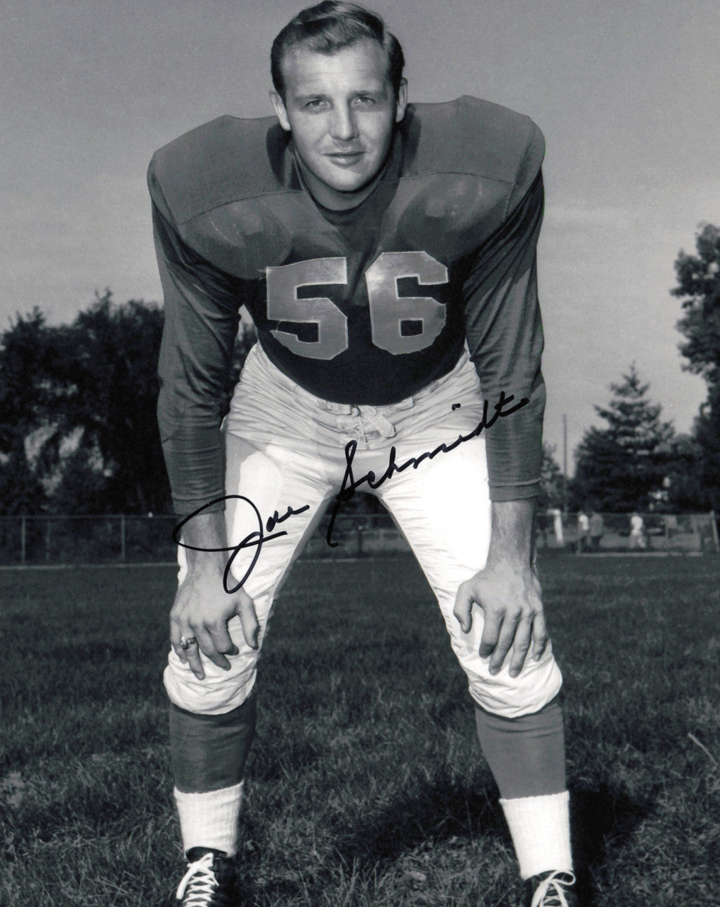 Joe Schmidt Autographed 8x10 Photo Detroit Lions SKU #245891