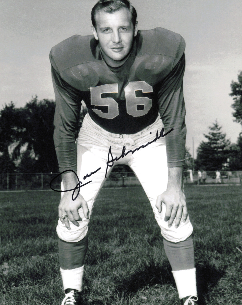 Joe Schmidt Autographed 8x10 Photo Detroit Lions SKU #245896