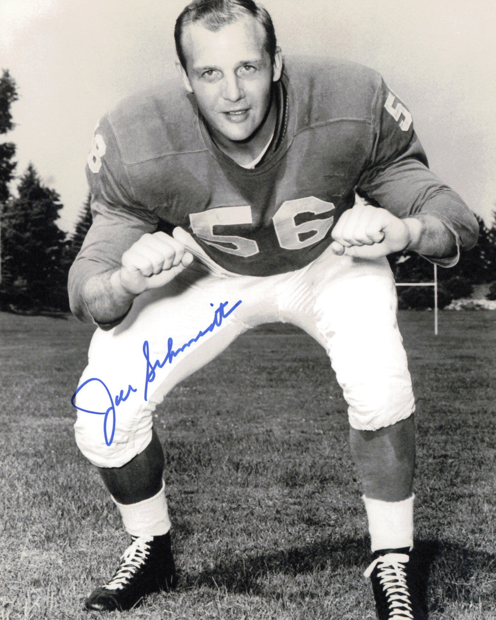 Joe Schmidt Autographed 8x10 Photo Detroit Lions SKU #245898
