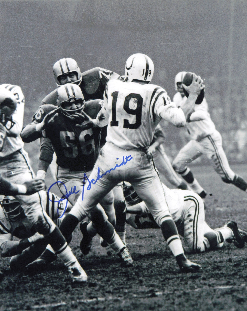 Joe Schmidt Autographed 8x10 Photo Detroit Lions SKU #245900