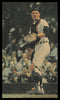Bill Freehan Autographed 6.5x11 Magazine Page Photo Detroit Tigers SKU #232417