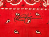 Charlie Sheen Autographed 19x21 Bandana Major League Ricky 'Wild Thing' Vaughn Beckett BAS Witness Stock #232866