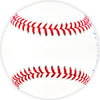 Luis Garcia Autographed Official 2022 World Series Logo MLB Baseball Houston Astros "22 WS Champs" Beckett BAS Witness Stock #220457