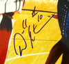 Adonal Foyle Autographed 16x20 Photo Orlando Magic PSA/DNA #S76704