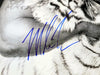 Mike Tyson Autographed 16x20 Photo With Tiger Beckett BAS Stock #206972