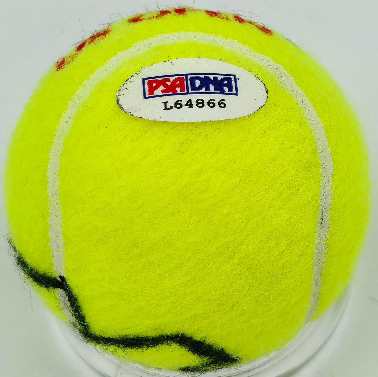 Venus Williams Autographed Wilson Tennis Ball PSA/DNA #L64866