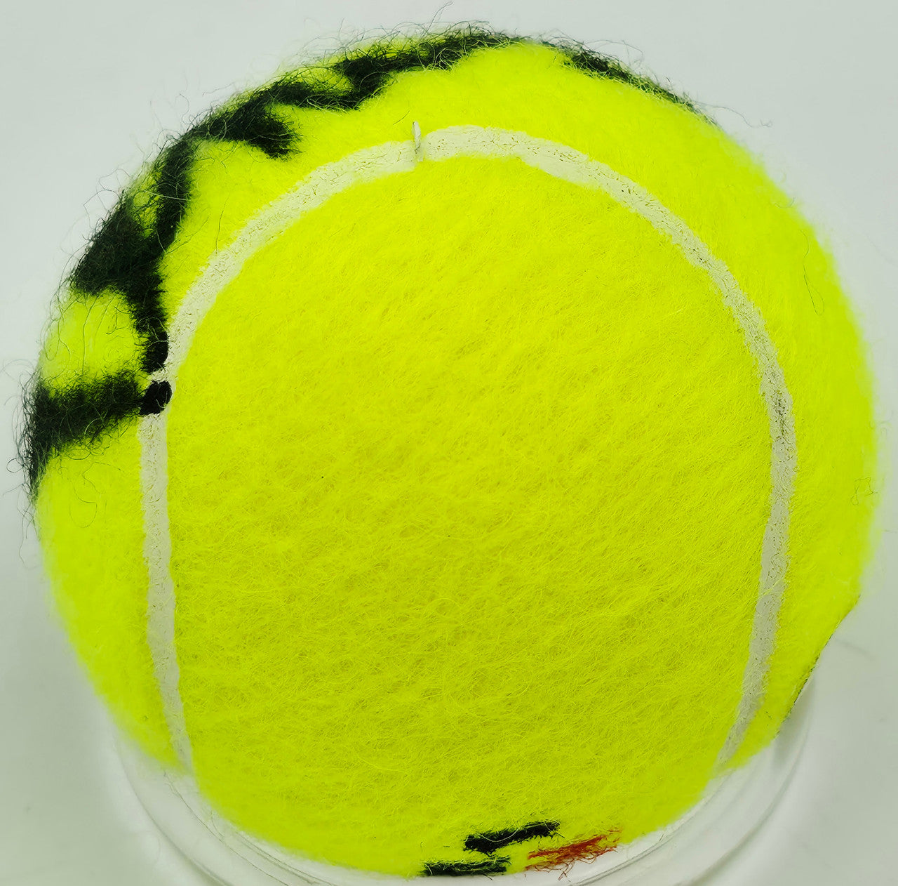 Venus Williams Autographed Wilson Tennis Ball PSA/DNA #L64866