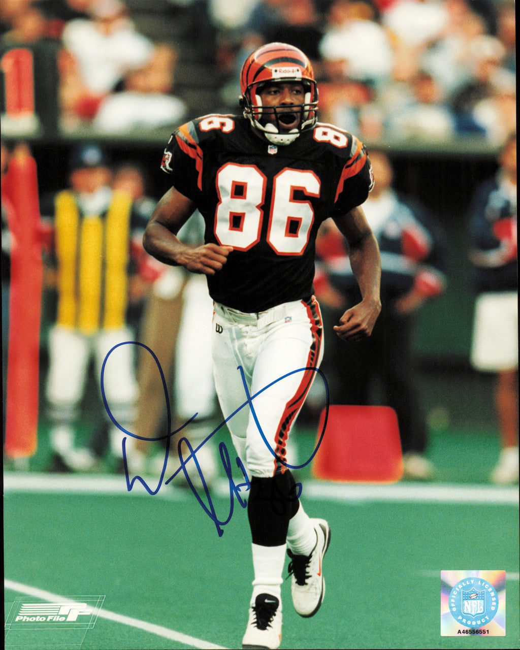 Darnay Scott Autographed 8x10 Photo Cincinnati Bengals SKU #257340