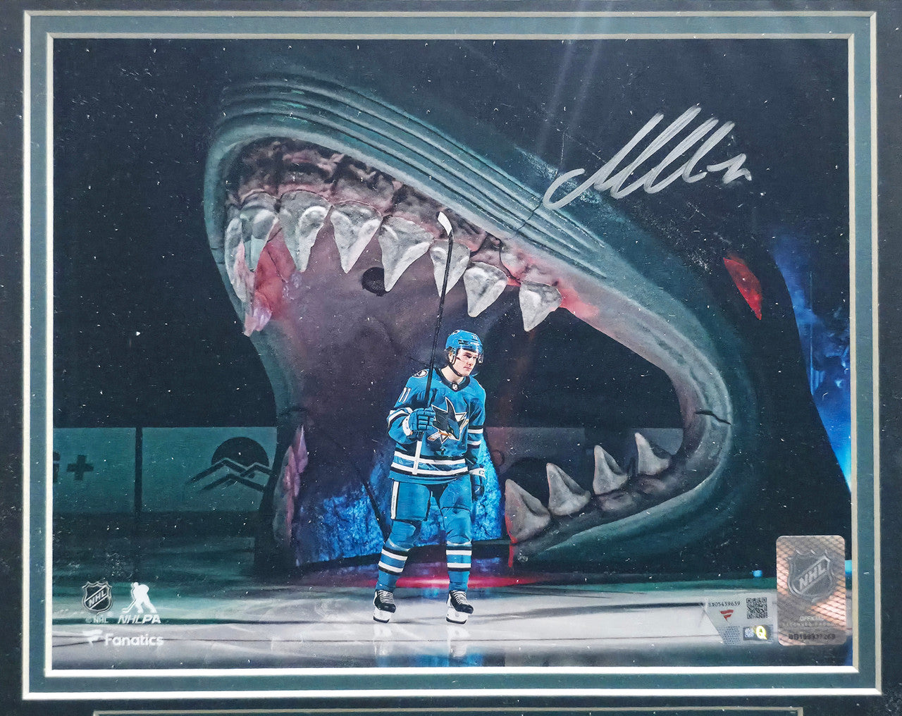 Macklin Celebrini Autographed Framed 8x10 Photo San Jose Sharks Fanatics Holo #SX05439639