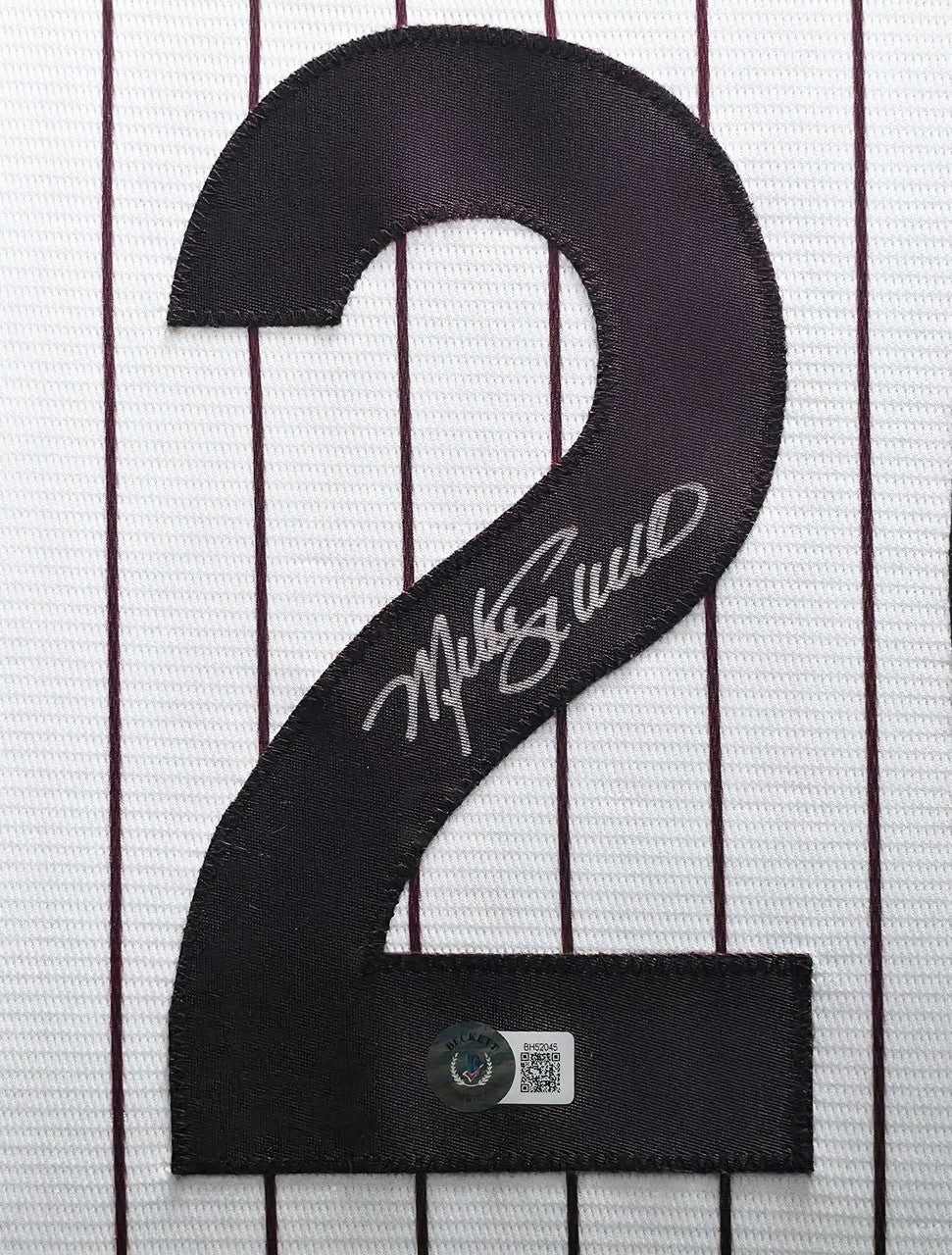 Philadelphia Phillies Mike Schmidt Autographed Framed White & Red Pinstripes Jersey Beckett BAS QR Stock #266061
