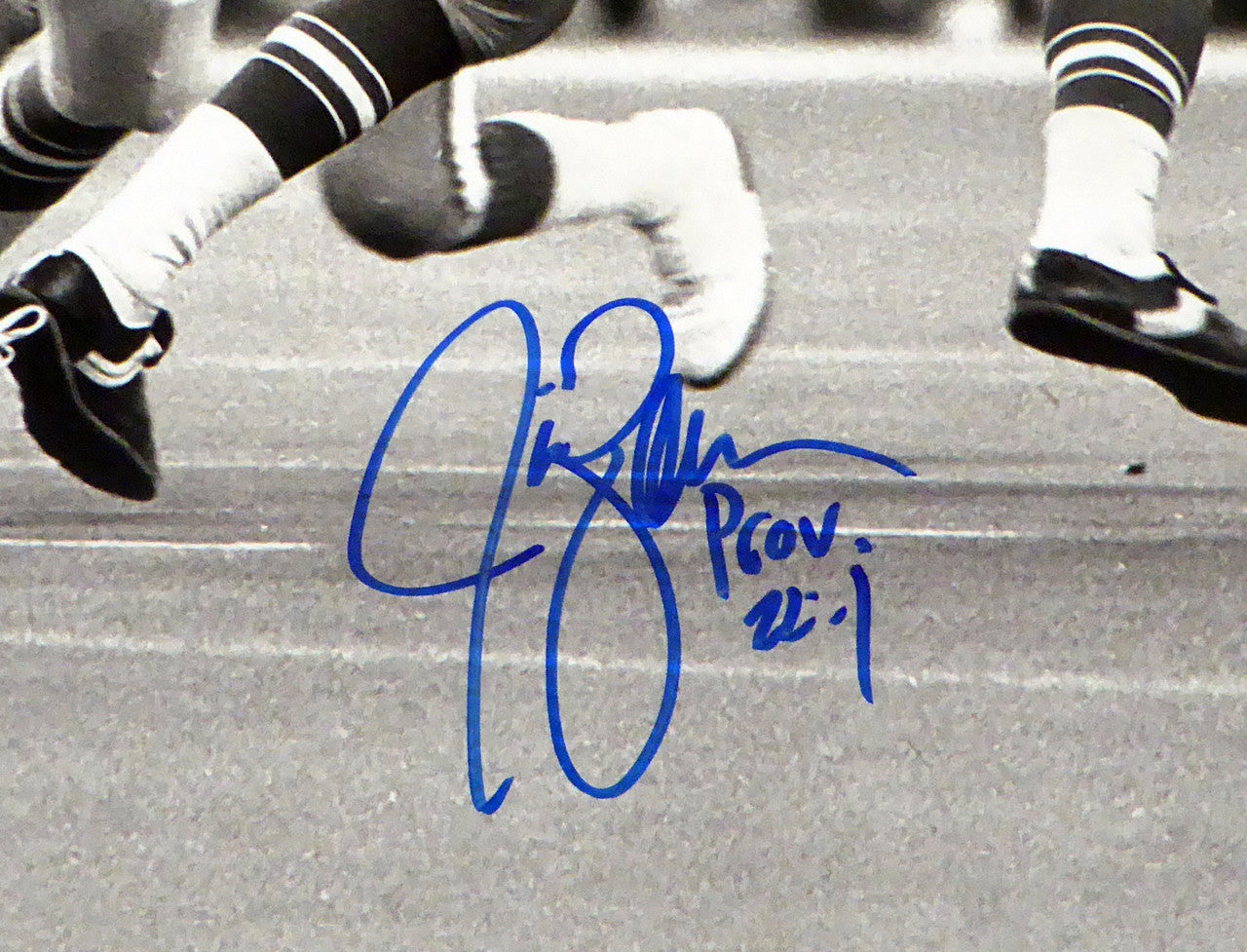 Jim Zorn Autographed 16x20 Photo Seattle Seahawks MCS Holo Stock #112509