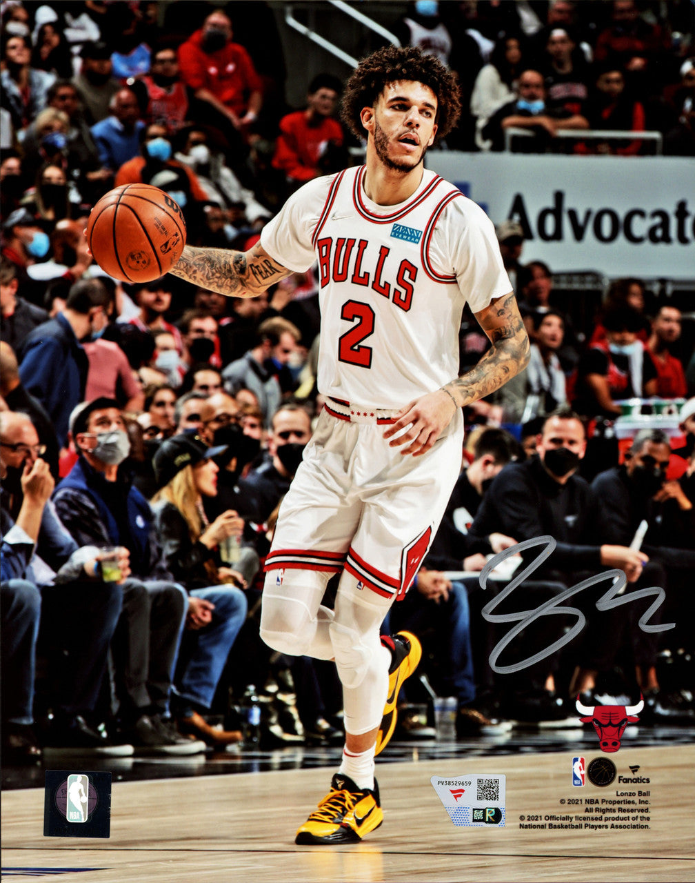 Lonzo Ball Autographed 8x10 Photo Chicago Bulls Fanatics Holo Stock #253924