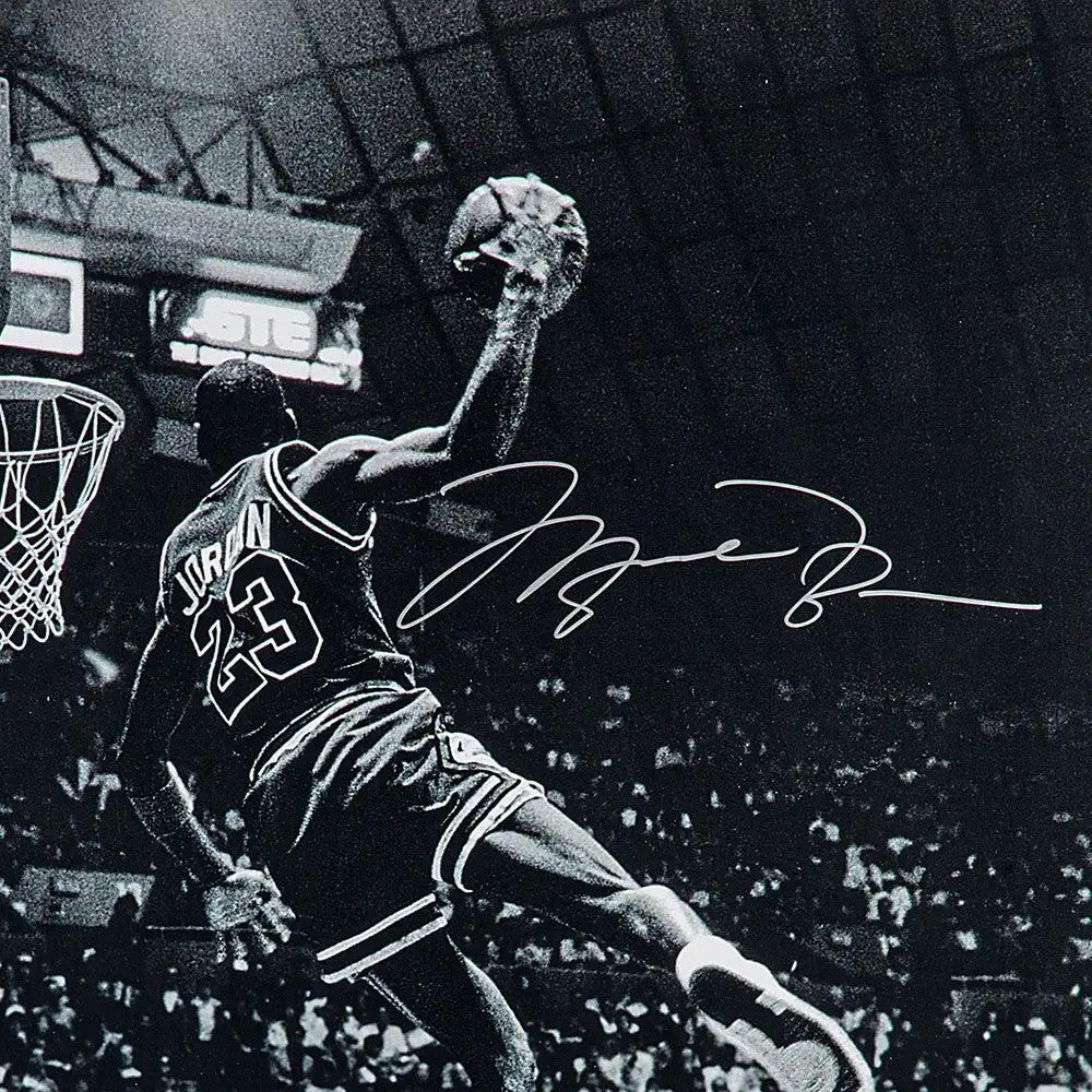 Michael Jordan Autographed 'Frozen in Time' 30x40 Photo Chicago Bulls UDA Holo Stock #261624