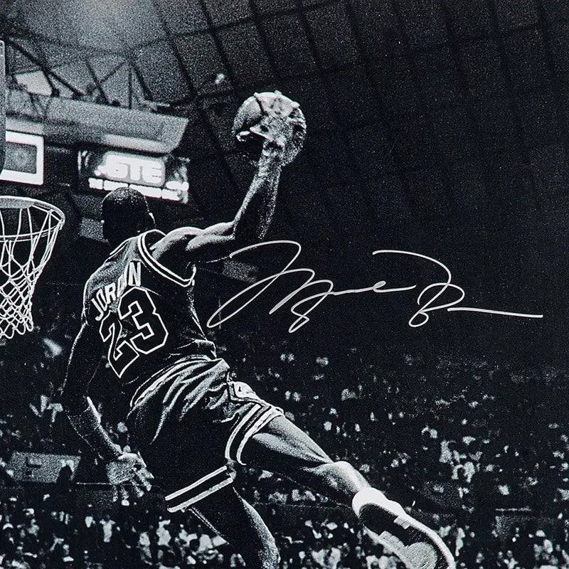 Michael Jordan Autographed 'Frozen in Time' 30x40 Photo Chicago Bulls UDA Holo Stock #261624