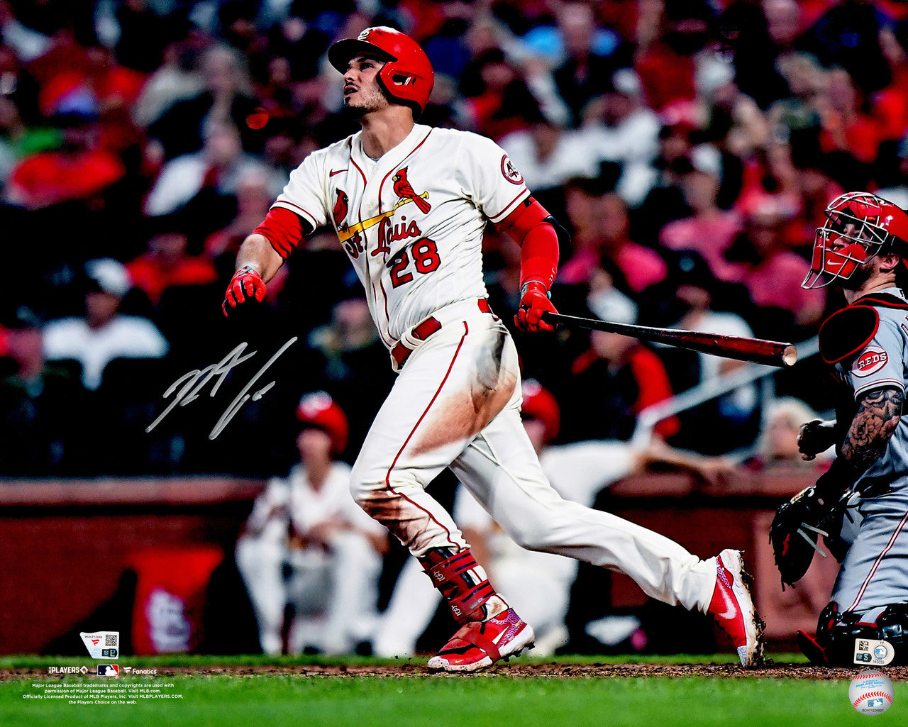 Nolan Arenado Autographed 16x20 Photo St. Louis Cardinals Fanatics & MLB Holo Stock #262983