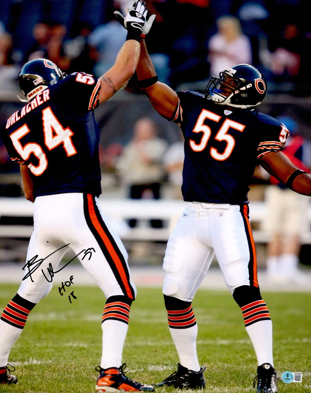 Brian Urlacher Autographed 16x20 Photo Chicago Bears "HOF 18" Beckett BAS Witness Stock #265853