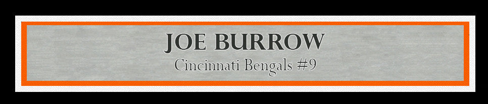 Joe Burrow Autographed Framed 16x20 Photo Cincinnati Bengals Fanatics Holo Stock #221124