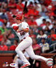 Stephen Piscotty Autographed 8x10 Photo St. Louis Cardinals PSA/DNA Stock #101383