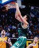 Andrea Bargnani Autographed 8x10 Photo PSA/DNA #S43750